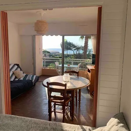 Appartement Chez Lili Et Alex! Face A La Mer! Clim, Balcon, Garage! Canet-en-Roussillon